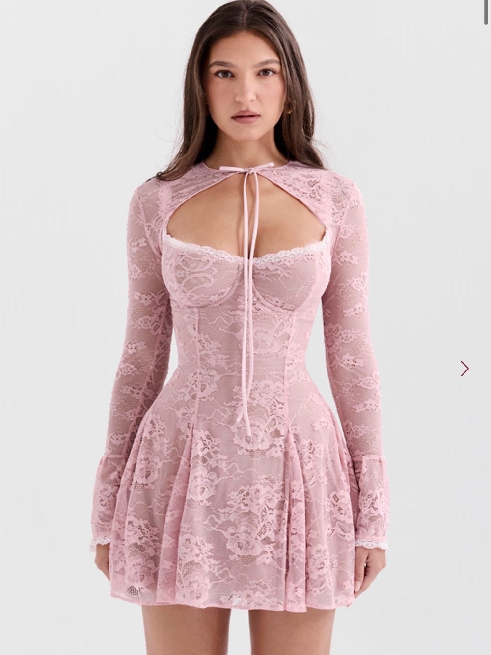 NWOT HOUSE OF CB ALICE PINK LACE MINI DRESS